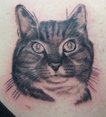 Realistic tattoos Tattoos cat tat